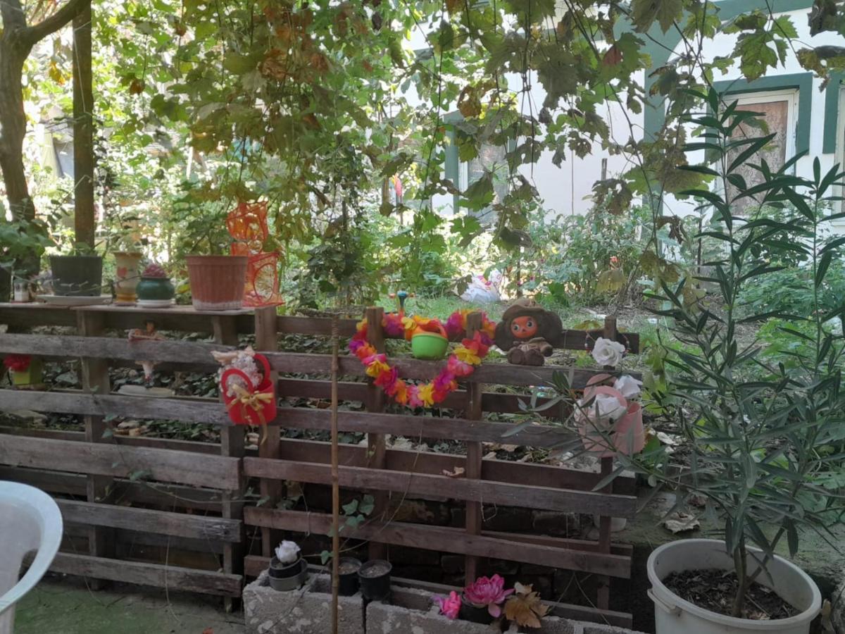 Adem'S Cozy Terrace Retreat Bed & Breakfast Skopje Exterior photo