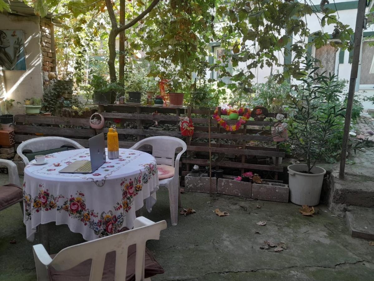 Adem'S Cozy Terrace Retreat Bed & Breakfast Skopje Exterior photo