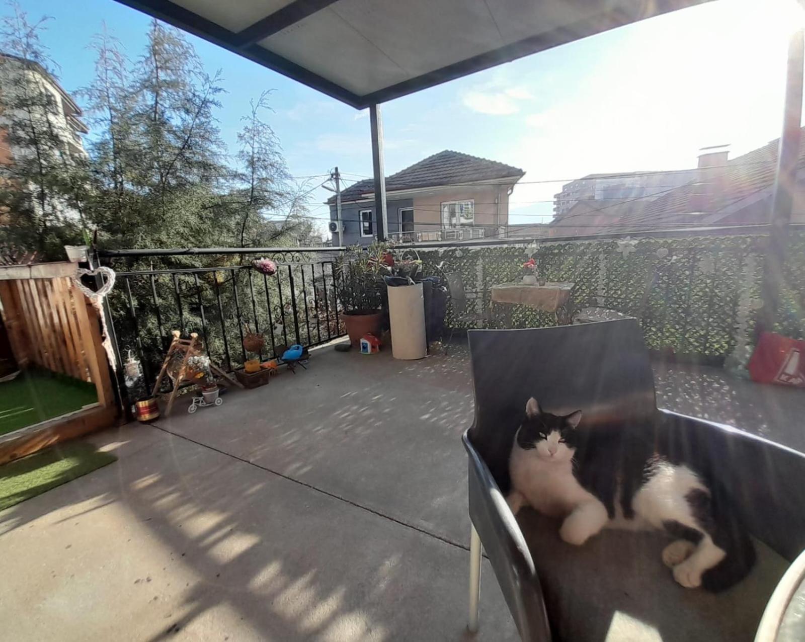 Adem'S Cozy Terrace Retreat Bed & Breakfast Skopje Exterior photo