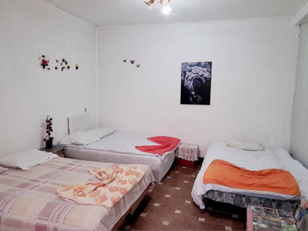 Adem'S Cozy Terrace Retreat Bed & Breakfast Skopje Exterior photo